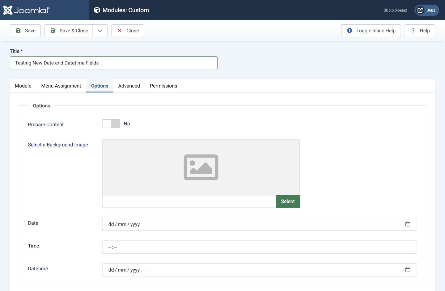 Example form containing a date-time field